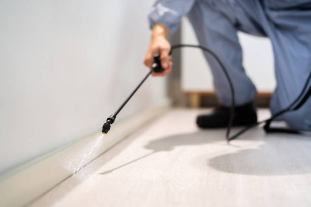 Licensed Exterminator service in Holiday, FL - Show Me Pest Control