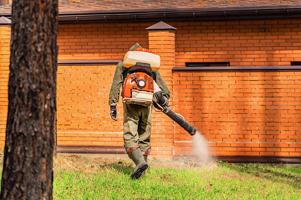 Top rated local Wasp Removal specialists in Holiday, FL